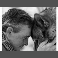 Teo Alfero - The Wolf Connection: What Wolves Can Teach Us About Being Human