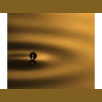 Penelope Jean Hayes - The Magic of Viral Energy