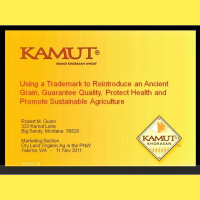 Bob Quinn - Grain By Grain A Quest to Revive Ancient Wheat, Rural Jobs, and Heal