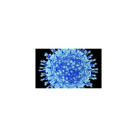 H7N9 Natures Scourge or Man-Made Weapon of Control