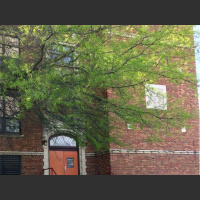 Healing Thyself with Secret Sounds - with Jill Mattson