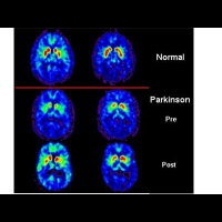 On the Road With Sharry