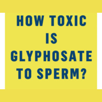 Dr. Stephanie Seneff -Toxic Legacy Glyphosate vs the Environment