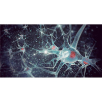 HH • What YOUR Brain Needs From YOU That May Be Holding You Back