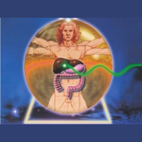 WellnessWiz Jack Tips - Immune Preparedness  Viral Concerns