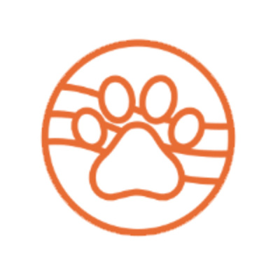 Sound Health Options - Ttmg  Sharry Edwards