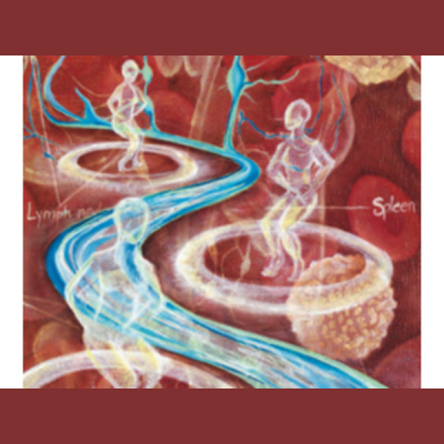 Sound Health Options - Ttmg  Sharry Edwards