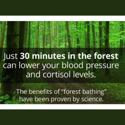 Sound Health Options - Ttmg  Sharry Edwards