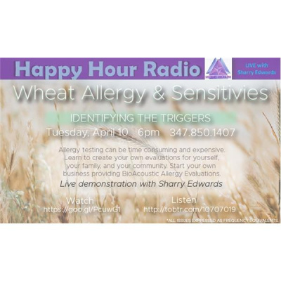 Sound Health Options - Ttmg  Sharry Edwards