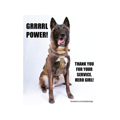 Sound Health Options - Ttmg  Sharry Edwards