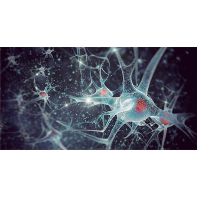 Sound Health Options - Ttmg  Sharry Edwards