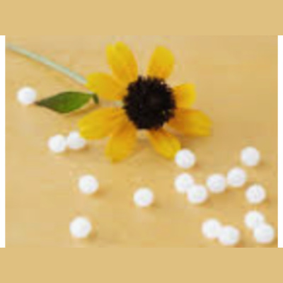 Sound Health Options - Ttmg  Sharry Edwards