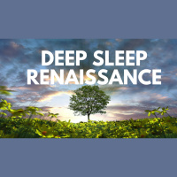 DEEP SLEEP RENAISSANCE guided sleep meditation healing therapy