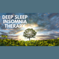 DEEP SLEEP INSOMNIA THERAPY guide sleep meditation 