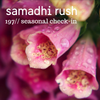 197 Seasonal Check-In