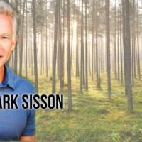 Primal Endurance: How To Escape Chronic Cardio  Carbohydrate Dependency  Become A Fat Burning Beast.