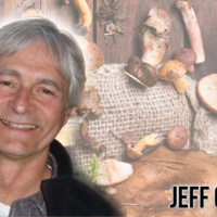 Mushroom Lies: Why Most Medicinal Mushroom Supplements Are Chock Full Of Grain  Dangerous Compounds, And What You Can Do About It.