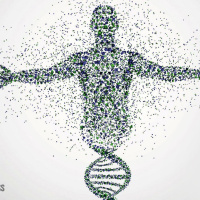 Is Customizing Your Diet  Exercise Based On Your Genetics A Complete Health Scam?