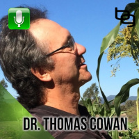 The Shocking Story Of Vaccines, The Toxicity Of Ultrasounds, Why You Shouldnt Play With Your Child  Much More With Dr. Thomas Cowan