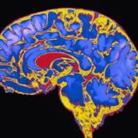 How To Dominate Cognitive Tasks, Think Faster And Get More Done.