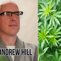 Can Weed Really Shrink Your Brain?