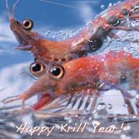 Krill Oil vs. Fish Oil, Yoga vs. Swimming and Athletes vs. Their Immune System!