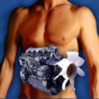 Episode #216: 6 Hidden Ways That You May Be Lowering Your Metabolism  Gaining Fat