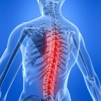 Episode #181: Why Your Back Hurts