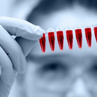 The Crucial Do’s And Don’ts Of Heavy Metal Testing And Metal Detoxification.