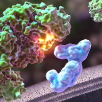 The Little-Known Test That Tells You Everything You Need To Know About Your Metabolism.