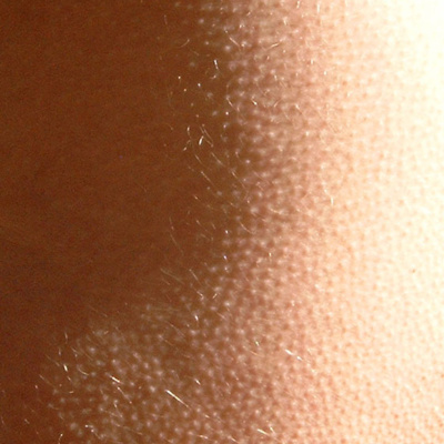 Ben Greenfield Fitness: Diet, Fat Loss And Performance