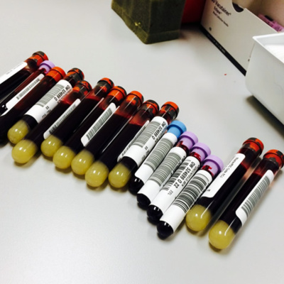 Ben Greenfield Fitness: Diet, Fat Loss And Performance