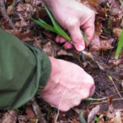 Ben Greenfield Fitness: Diet, Fat Loss And Performance