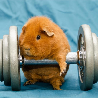 Ben Greenfield Fitness: Diet, Fat Loss And Performance