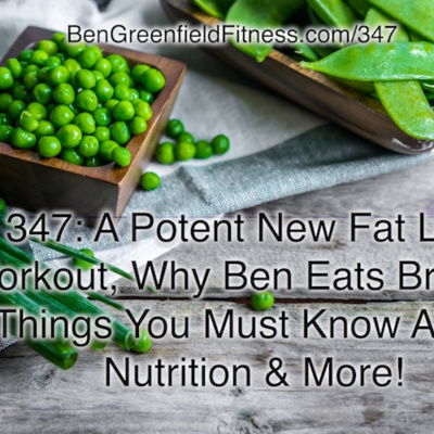 Ben Greenfield Fitness: Diet, Fat Loss And Performance