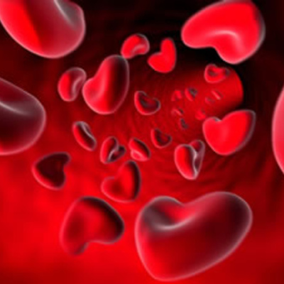 Ben Greenfield Fitness: Diet, Fat Loss And Performance