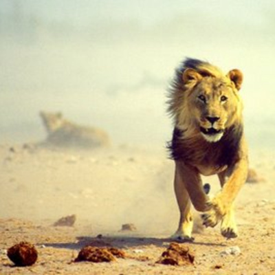 Ben Greenfield Fitness: Diet, Fat Loss And Performance