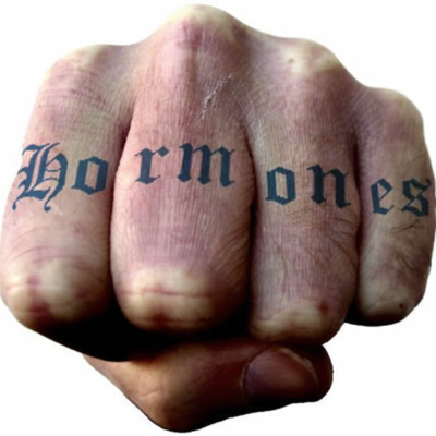 Ben Greenfield Fitness: Diet, Fat Loss And Performance