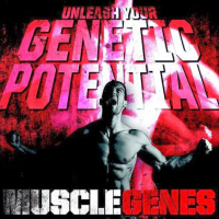 010 Muscle Expert Ben Pakulski  Muscle Genes Discuss Muscle Genetics