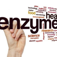 Enzyme Supplements: Uses, Suggestions, and Alternatives
