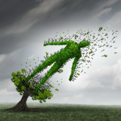 Primal Blueprint Podcast