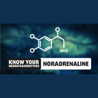 Know Your Neurotransmitters: Noradrenaline