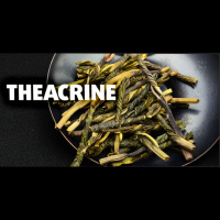 Theacrine with Dr. Richard Bloomer