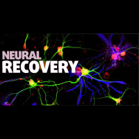 Brain Repair and Regeneration