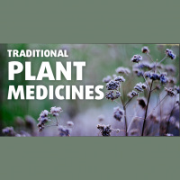 Plant Medicines