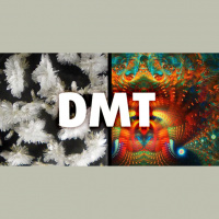 DMT: Dr. Rick Strassman’s Breakthrough Work With “The Spirit Molecule”