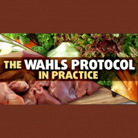 The Wahls Protocol: Fighting Fatigue With a Fork