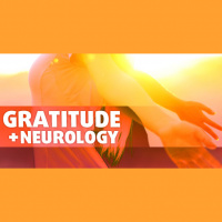 What Gratitude Can Do For Your Brain