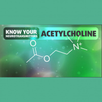Know Your Neurotransmitters: Acetylcholine