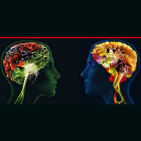 237: Dr. Stephan Guyenet: The New Science Of Fat Loss